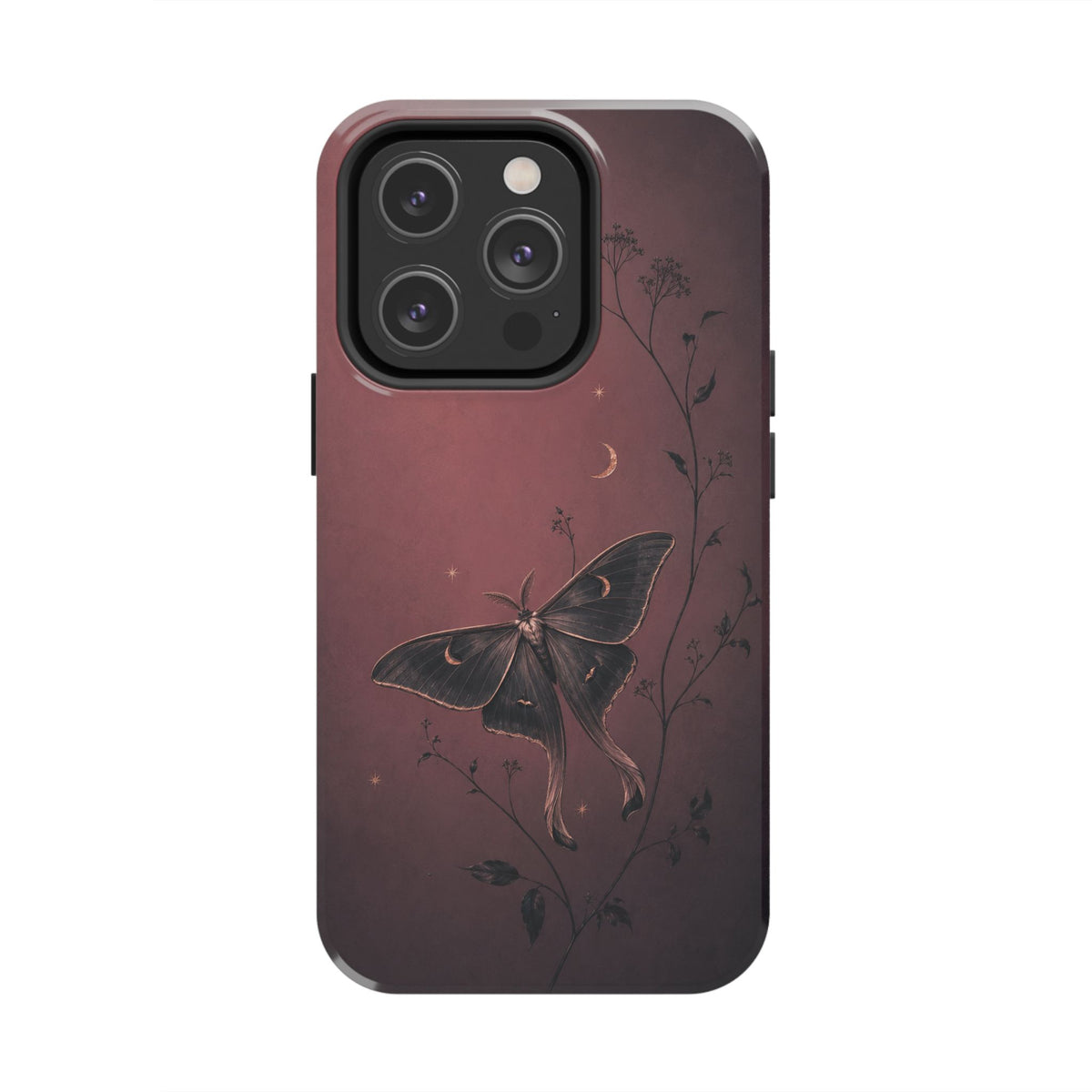 Sleepy Moth