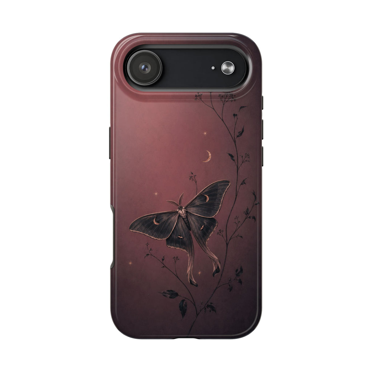 Sleepy Moth