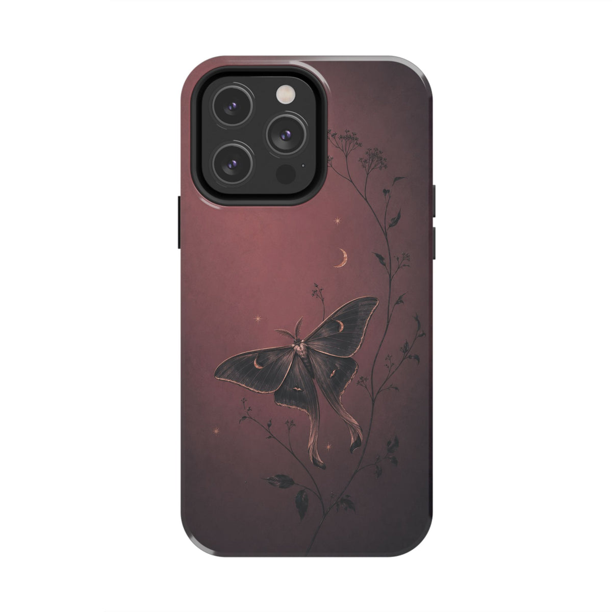 Sleepy Moth