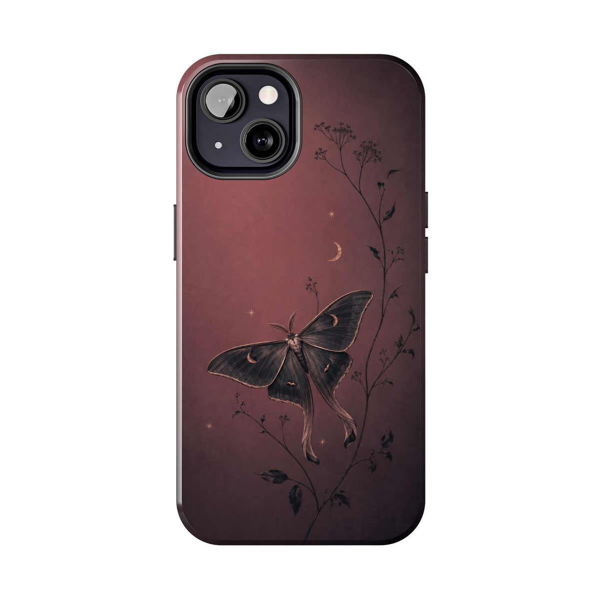 Sleepy Moth