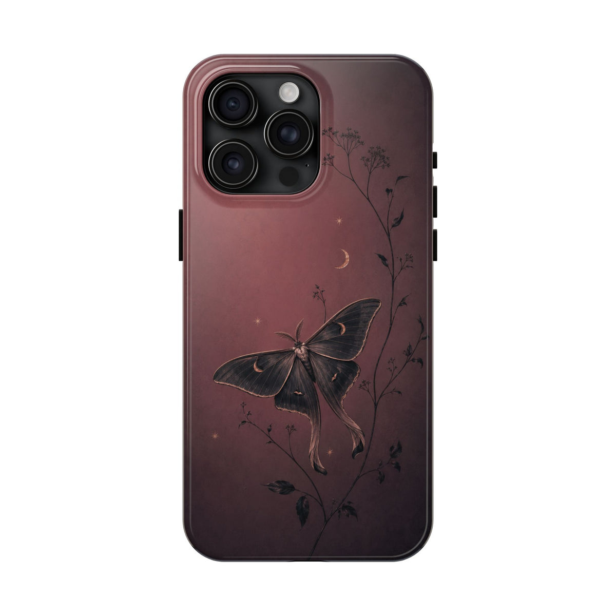 Sleepy Moth