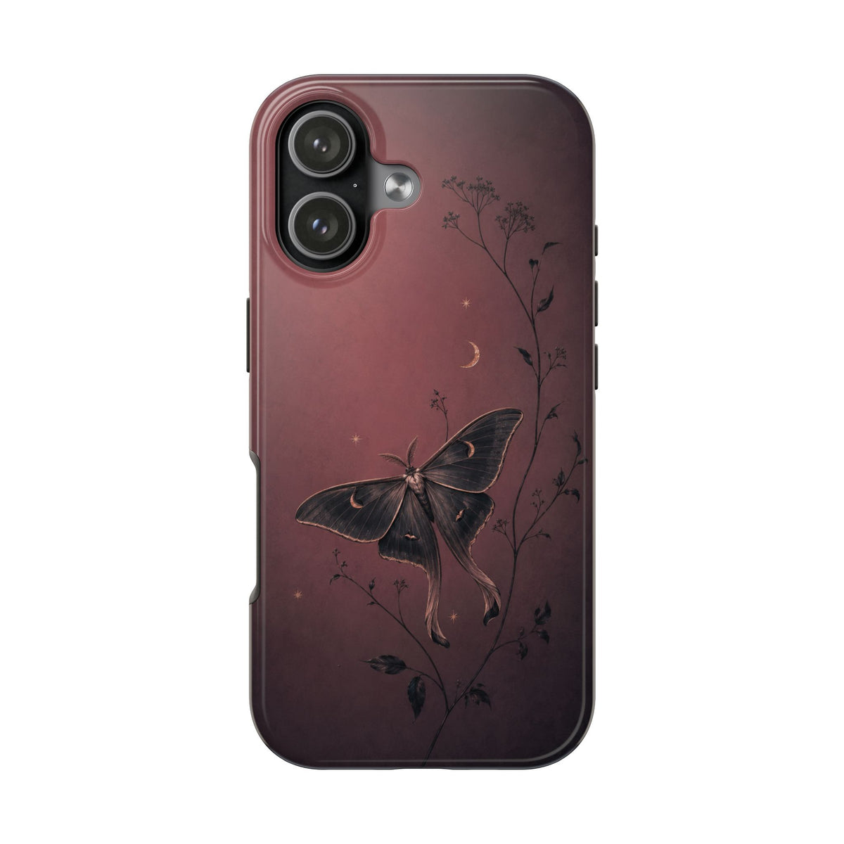 Sleepy Moth